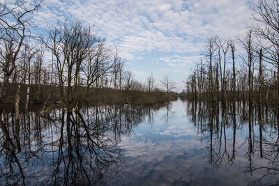 Reflection of bare trees in lake against sky