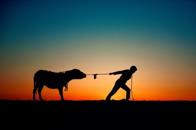 Silhouette man pulling cow on field against orange sky during sunset