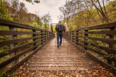 Rear view of man walking on footbridge in forest