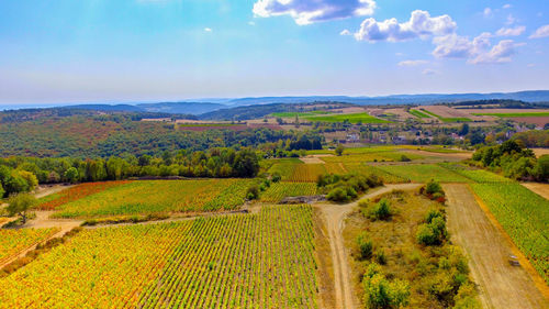 Scenic view of agricultural landscape against sky