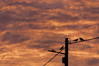 Low angle view of silhouette telephone pole against orange sky