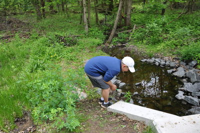 High angle view of boy in forest