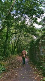 Rear view of woman walking on footpath in forest