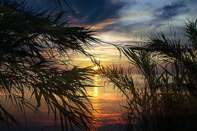 Scenic view of sea at sunset