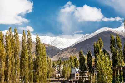 Panoramic view of trees and snowcapped mountains against sky