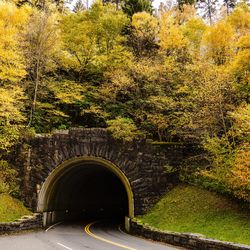 Arch bridge in tunnel