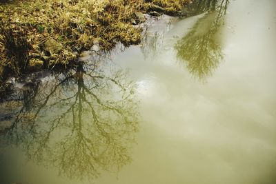 Reflection of trees in lake against sky