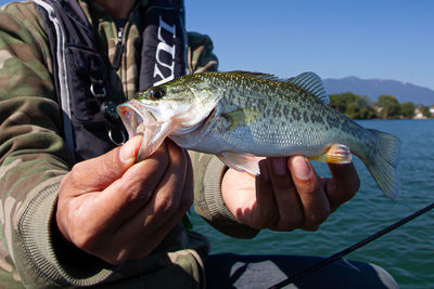 Bass fishing with the bait