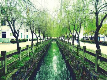 Panoramic view of trees in city against sky