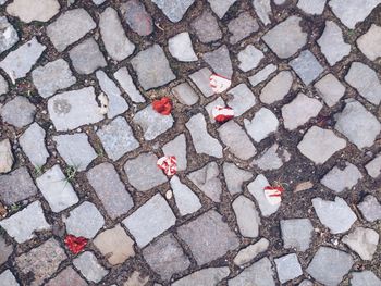 Full frame shot of footpath