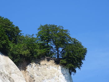 Low angle view of trees against clear blue sky