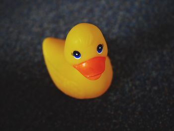 Close-up of toy over white background