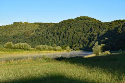 Scenic view of landscape against clear sky