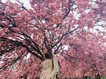 Low angle view of a woman standing near a flowering tree