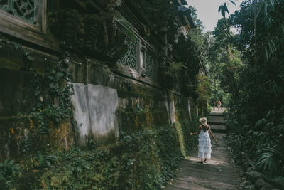 Rear view of woman walking amidst plants