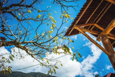 Low angle view of built structure against blue sky