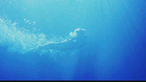 Underwater view of coral reef