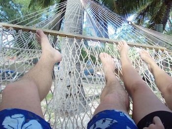 Low section of bare feet on palm tree