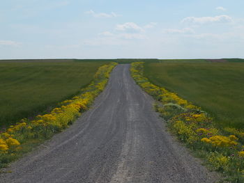 Road amidst field against sky