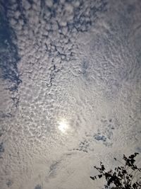 High angle view of snow covered land