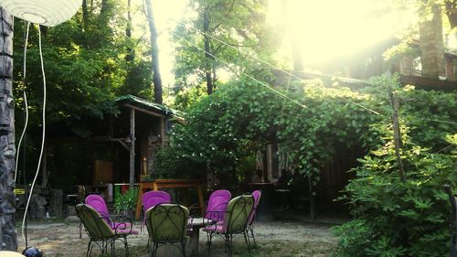 Empty chairs in backyard