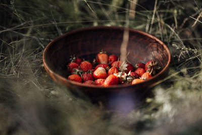 Close-up of fruits in bowl