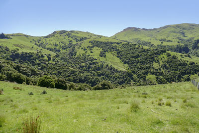 Idyllic landscape around akaroa