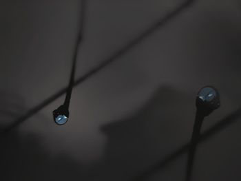 Close-up of water drop on leaf