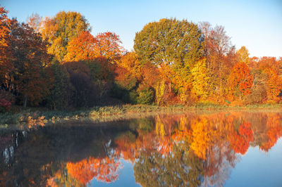 Scenic view of lake in forest during autumn