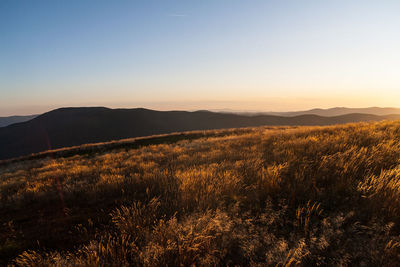 Scenic view of field against sky during sunset