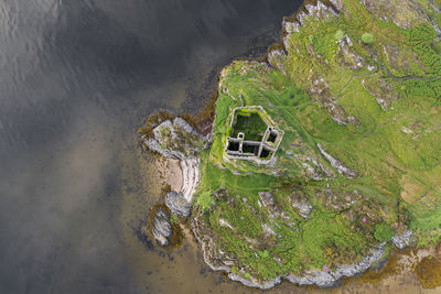 High angle view of plants on beach