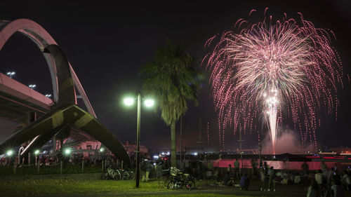 Firework display at night