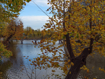 Scenic view of lake by trees against sky