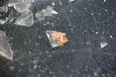 High angle view of broken umbrella on rock