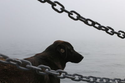 View of barbed wire