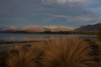 Scenic view of lake tekapo  and mountains against sky