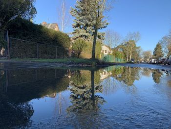 Reflection of trees in lake against sky