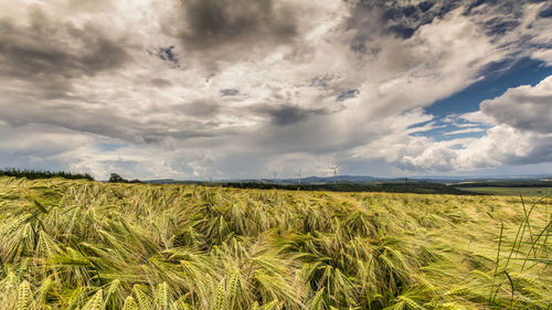Scenic view of field against cloudy sky