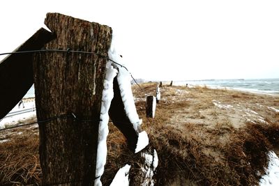 Wooden posts on beach against clear sky