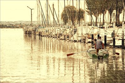 Reflection of trees in water