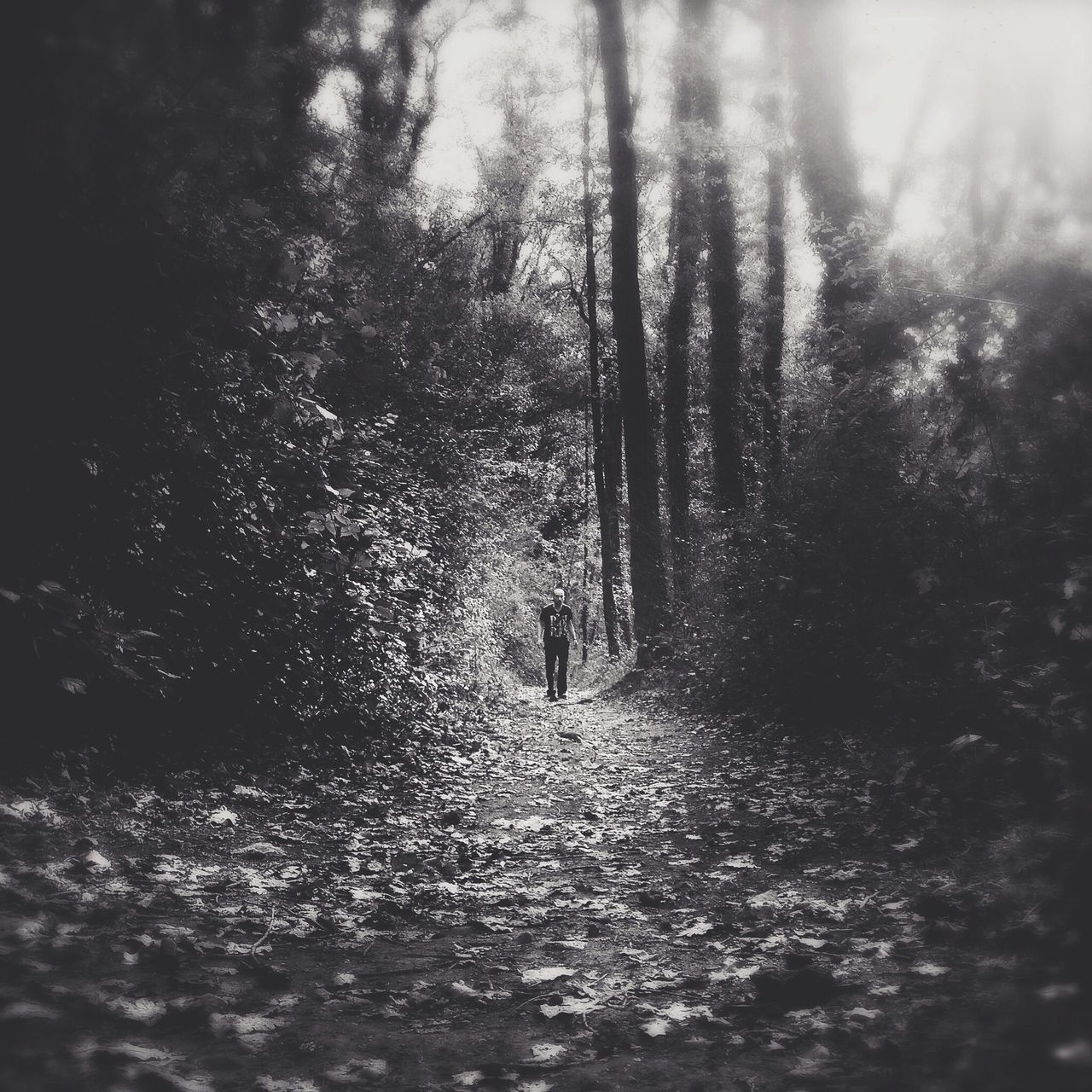 tree, the way forward, forest, walking, tranquility, nature, dirt road, tree trunk, lifestyles, tranquil scene, leisure activity, day, outdoors, growth, footpath, men, unrecognizable person, beauty in nature