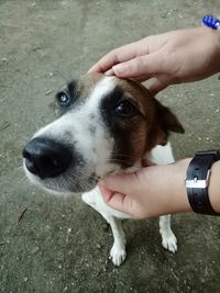 Close-up of man holding dog
