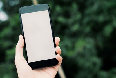 Cropped hand holding mobile phone