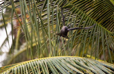 Bird perching on a plant