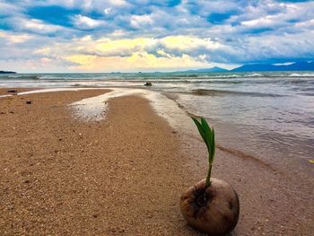 Scenic view of beach against sky