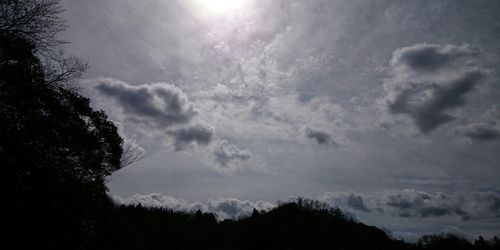 Low angle view of trees against cloudy sky