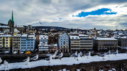 Snow covered buildings in city