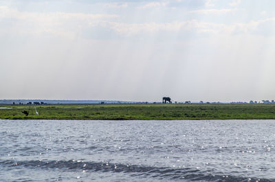 Scenic view of sea against sky