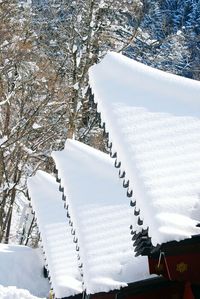 Snow covered trees against sky