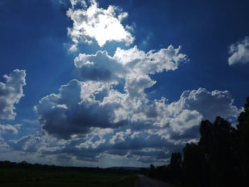 Low angle view of trees on field against sky